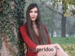 Didgeridoo