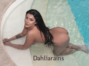 Dahliarains