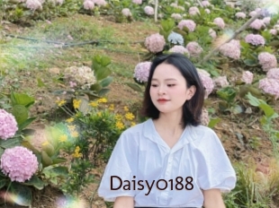 Daisy0188