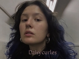 Daisycurles