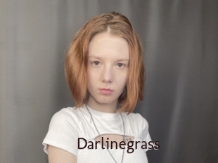 Darlinegrass