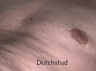 Dutchstud