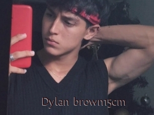 Dylan_brown15cm