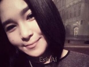 EsinAi