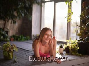 Electricflower