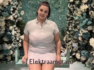 Elektraamotaro