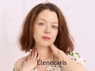 Elenecaris