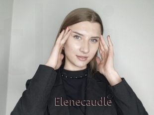 Elenecaudle