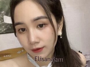 Elisanajam