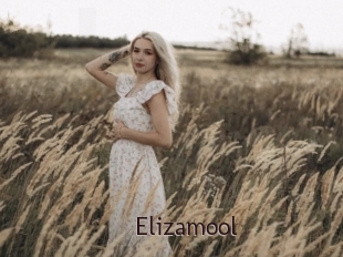 Elizamool