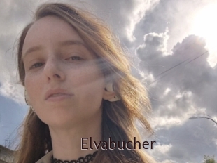 Elvabucher