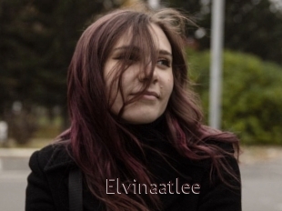 Elvinaatlee