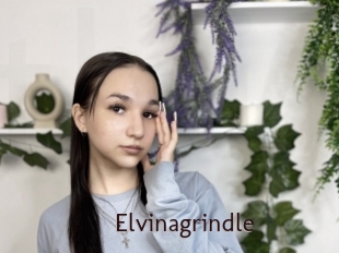 Elvinagrindle