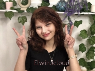 Elwinacloud