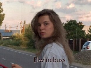 Elwinebuss