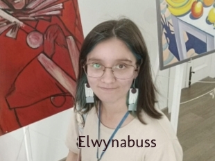 Elwynabuss