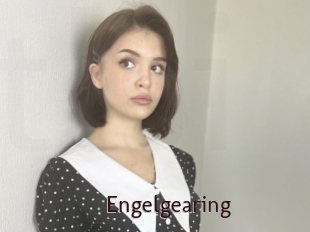 Engelgearing