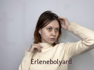 Erlenebolyard