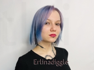 Erlinadiggle