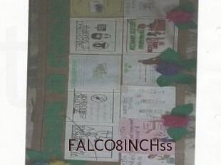 FALCO8INCHss