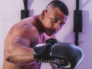 Falcon_hot