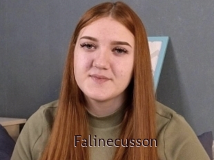 Falinecusson