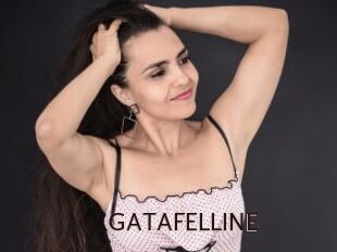 GATAFELLINE