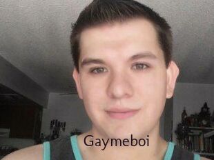 Gaymeboi