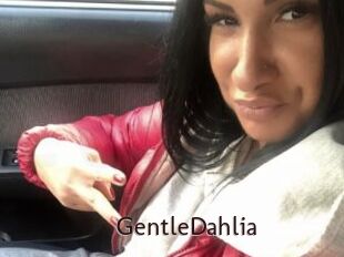 GentleDahlia