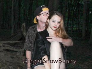GingerSnowBunny