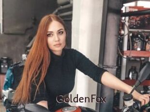 GoldenFox