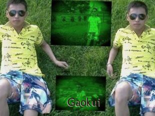 Gaokui