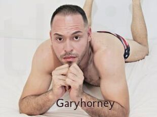 Garyhorney