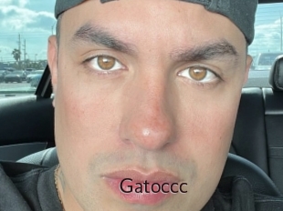 Gatoccc