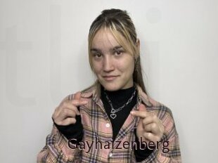 Gayhaizenberg
