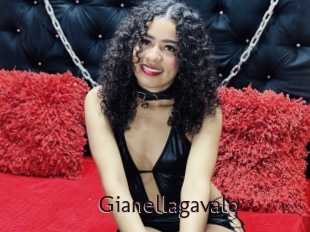 Gianellagavalo