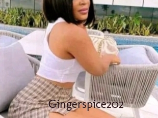 Gingerspice202