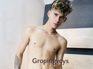 Gropingvoys