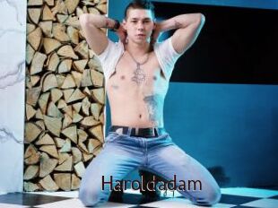 Haroldadam