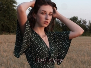 Heylarose
