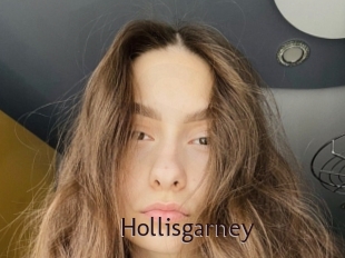 Hollisgarney