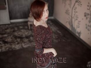 INDY_MAZE