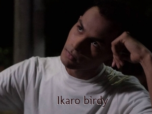 Ikaro_birdy