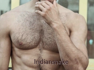 Indiansnake