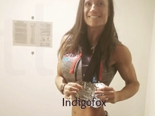 Indigofox