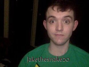 Jakethesnake20