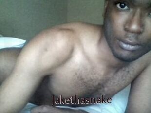 Jake_tha_snake