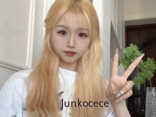 Junkocece