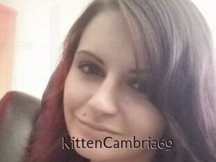 KittenCambria69