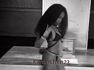 Kaninchen23